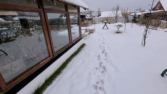 ЧТО НА ДАЧЕ, И ЧТО ПО ДОМУ? РАБОТЫ ПРИБАВИЛОСЬ,