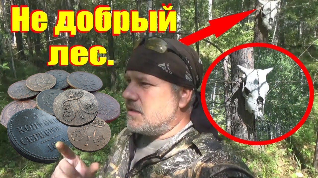 Находки в НЕ ДОБРОМ лесу поиск монет.