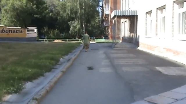 Утренний обход Иветты -3