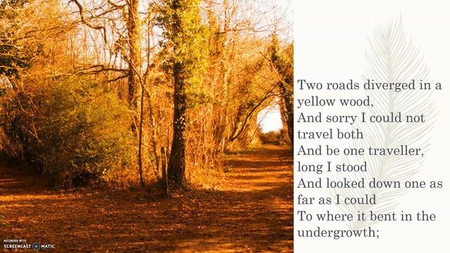 3.3 The Road Not Taken- STD 9TH