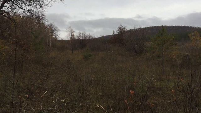 Ловля певчих птиц  ураа щегол восьмирик , снегири,чижи,коноплянки.mp4