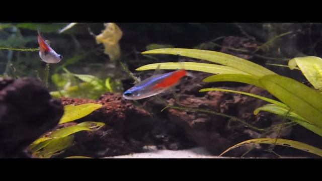 Test Fujifilm Finepix S8300