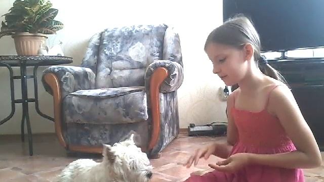 ☆Ева команда кувырок♡