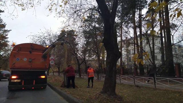 Куда исчезают листья