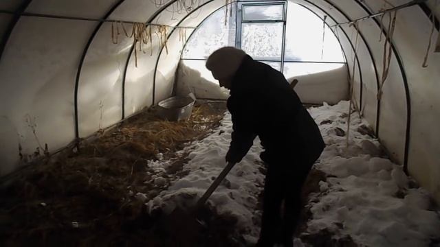 Компостные грядки в теплице