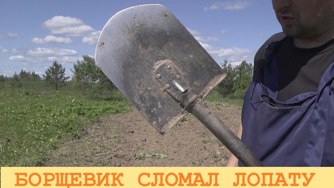 2023 Май. Ломаю лопату о борщевик но трактор пока работает.