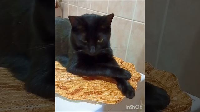 😺😊.mp4