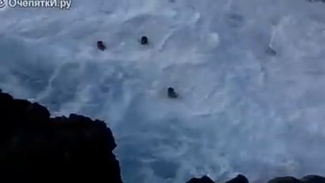Неожиданный аттракцион от природы