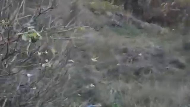 FloridaYalta шила футболки из носовых платков Квик показала грязную туфлю