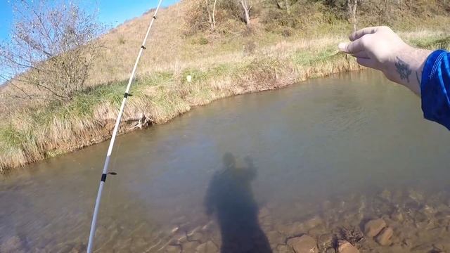 Berkley GULP ALIVE 1" Minnow Trophy Trout Fishing CHALLENGE!