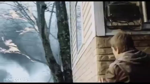 Картошка домашняя.mp4