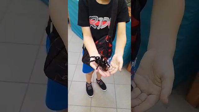 1000004530.mp4