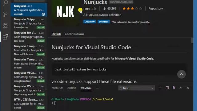 Node.js - Configurando Nunjucks (#10)