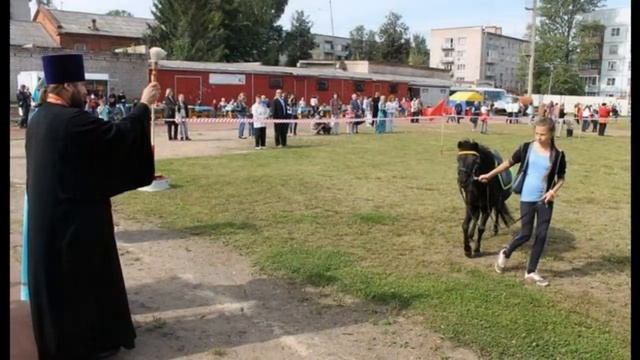 Боровичский конный праздник