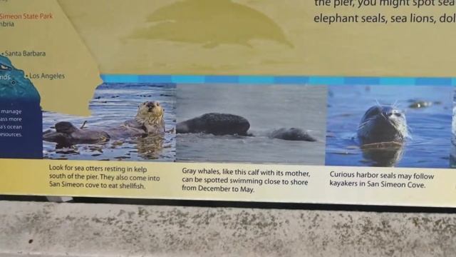 Военные Самолёты над Сан Симеон БИЧ(Калифорния)15/1/17