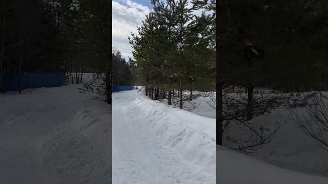 Участок 27 соток с лесными деревьями и выходом к ручью в дер. Малое Маринкино, Александровский райо