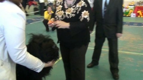 Кобели. Барби с Бронич Эмир и Соцветие Сен-Жермен