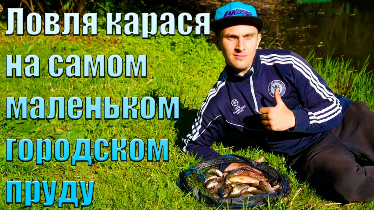 Ловля карася на самом маленьком городском пруду. Лови там, где никто не ловит