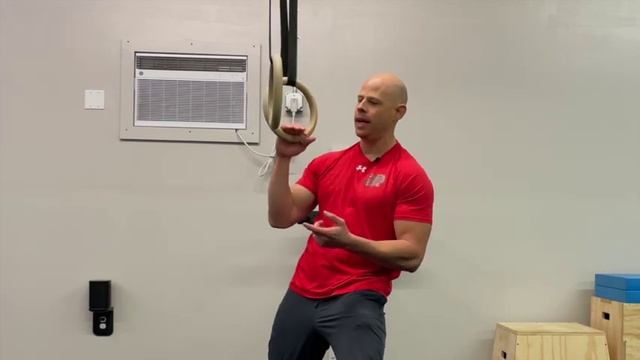 Ring Calisthenics Biceps Workout