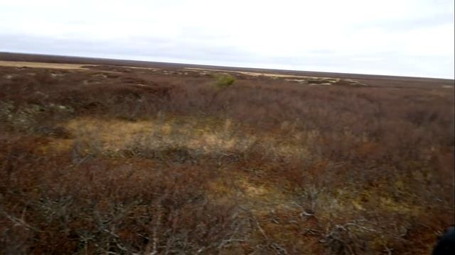 Вездеход Хищник и снегоход (приехали на охоту)