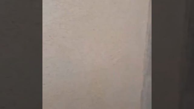 Мраморная штукатурка.