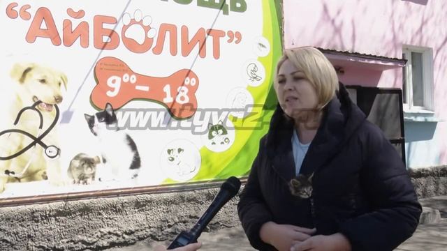 Помочь бездомным животным просто!