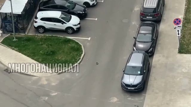 В Люберцах бухой абу-бандит крушил машины во дворе жк «Егорово парк», поселок Жилино-1.