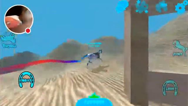 Playing hill cliff horse/Ragdolls/Exploring