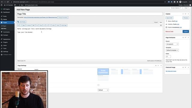 Ultra Basic WordPress Tutorials - Using the Text Editor