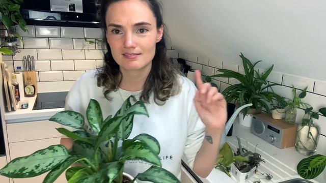 A Realistic + Imperfect Day Of Plant Chores 🌿 Do Houseplant Chores With Me
