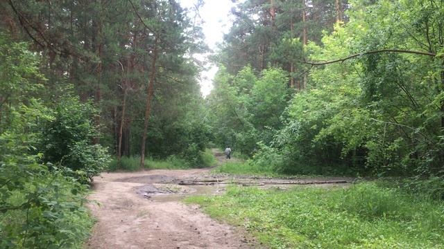 Барабанщик с белым барабаном выстукивал марши в глухом лесу Бердска