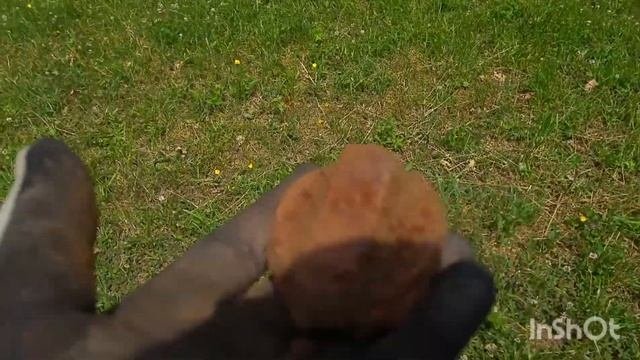 Коп у замка Хоенберг
