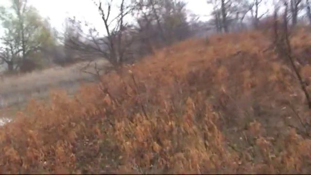 144. (02) Поле. 08 ч 38 мин. Ф.Т. Английских Спрингер Спаниелей