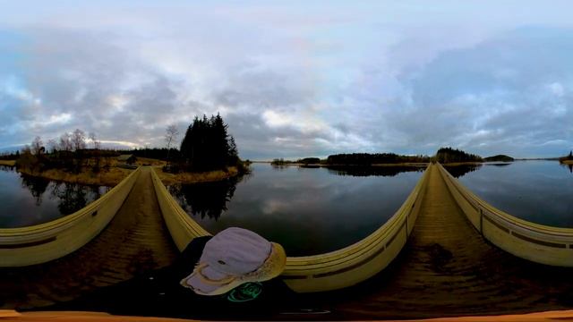 360° VR Nature - Morning Walk In The Forest - Norwegian Nature In Virtual Reality 4K