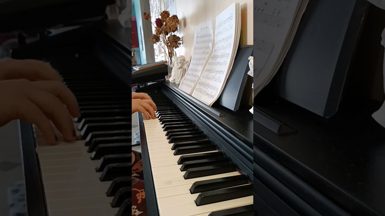 Queen–The Show Must Go On #relax #pianomusic #piano #фортепиано #pianosolo #song #queen #pianocover