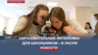 В Ласпи одарённых севастопольских школьников готовят к олимпиадам и конкурсам