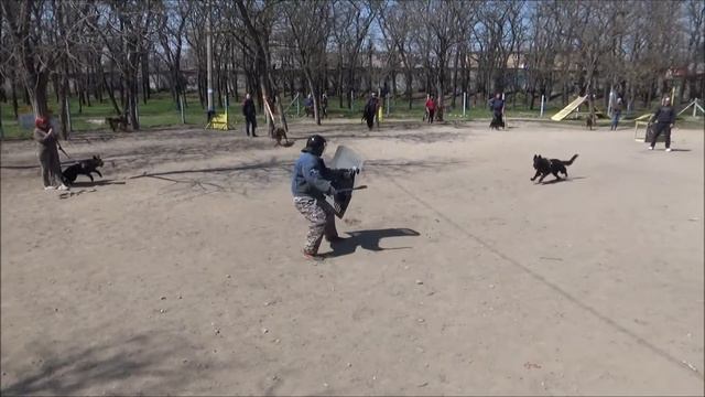 Альфа и "СТРАЖ"ники