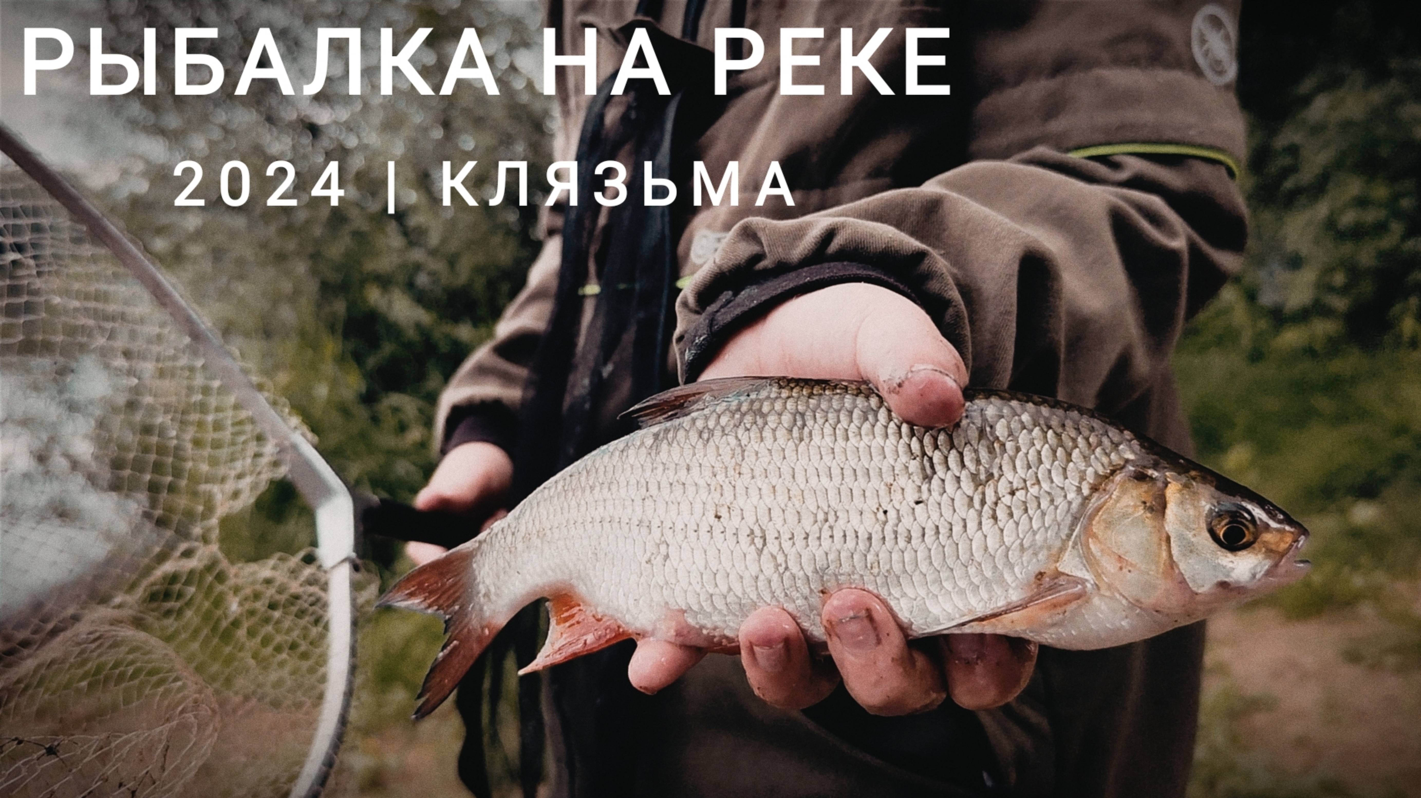Рыбалка на реке Клязьма. Фидер и поплавок. Лето 2024, Владимирская область.