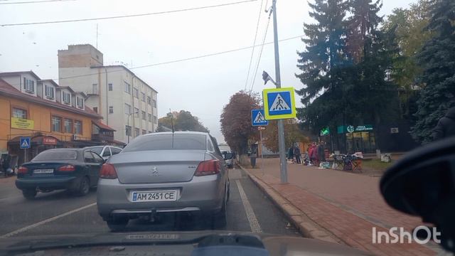 #україна ПРОДАЮ ХРИЗАНТЕМИ/ РОЗПАКОВКА#моєжиття##лана