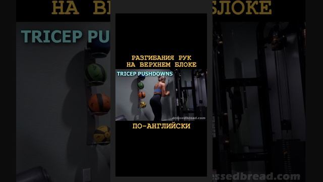 РАЗГИБАНИЯ НА ТРИЦЕПС НА ВЕРХНЕМ БЛОКЕ. Перевод на английский