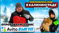 Продали iPhone в Авито выкуп | Наши зимние развлечения в Калининграде