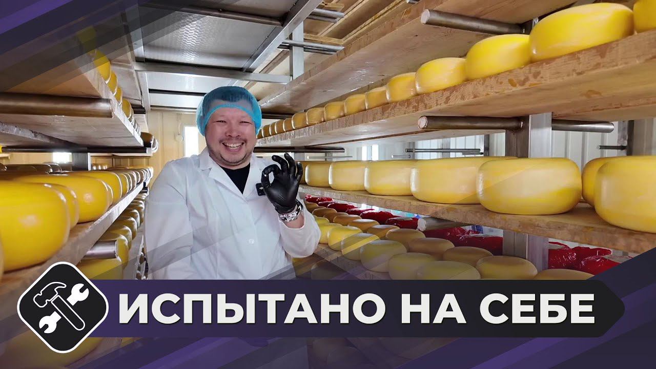 Испытано на себе: Сыроварение