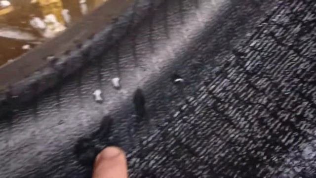 Летняя резина Pirelli 2355019