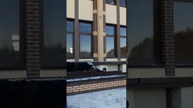 Как раздвигается козырек над приямком