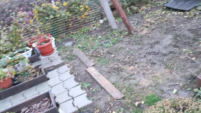 2 декабря 2023 года, планы на сегодня