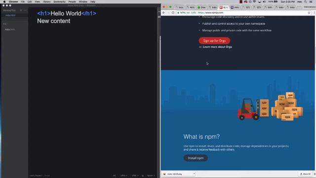 Easy CLI Live server setup for node localhost-Laurence Svekis|Learnfly