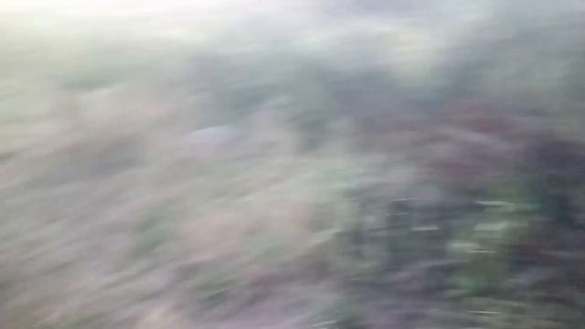 Немного дачной жизни! Рыбалка, рыба сломала удочку!