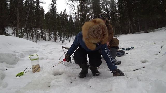 ЩУЧИЙ РАЙ. РЫБАЛКА НА ЩУКУ И ОКУНЯ. КЛЮЕТ БЕЗ ПЕРЕДЫХУ