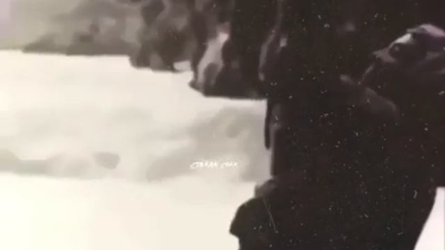 И дело сейчас вовсе не в цветах, понимаешь?