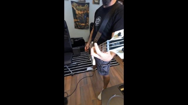 Behemoth - Slaves Shall Serve (Bass Cover)